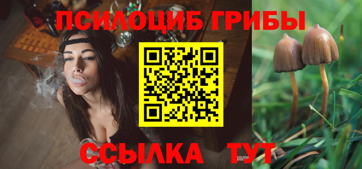 Галлюциногенные грибы Cubensis Камышин
